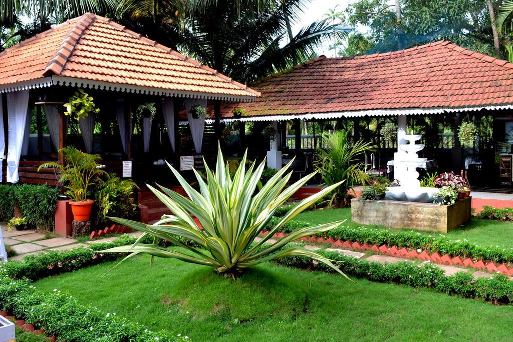 Naga Cottages Morjim Extérieur photo